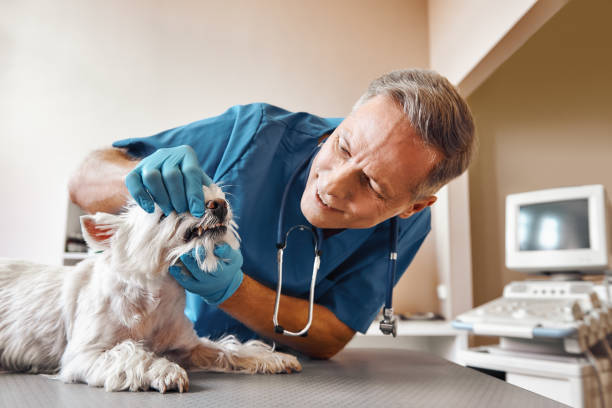 Best Cracked Tooth Emergency Dentist  in Marshall, VA