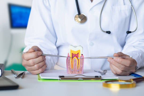 Best Root Canal Emergency Dentist  in Marshall, VA